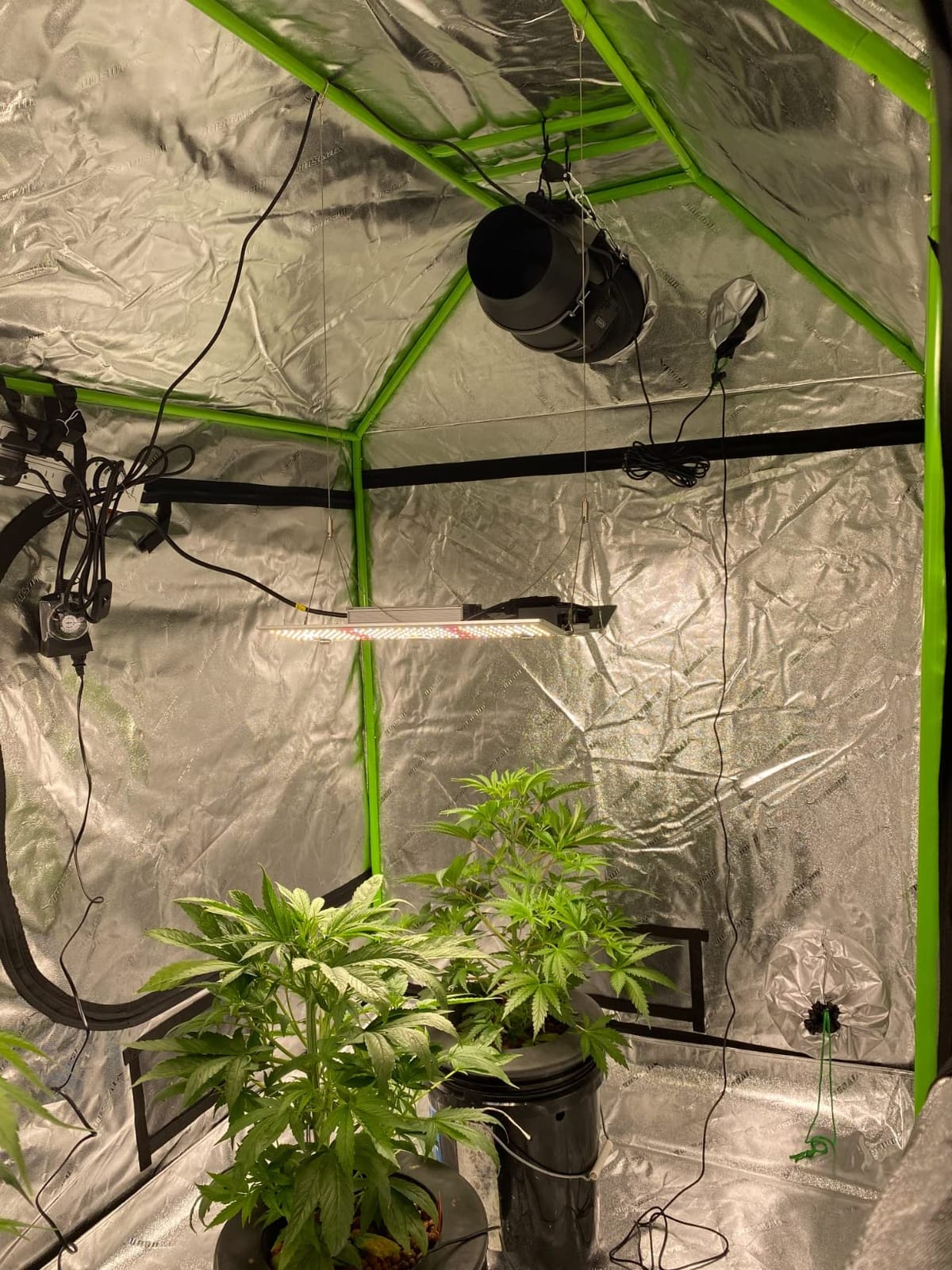 VIVOSUN Upgraded 2x4x6 Grow Tent 48