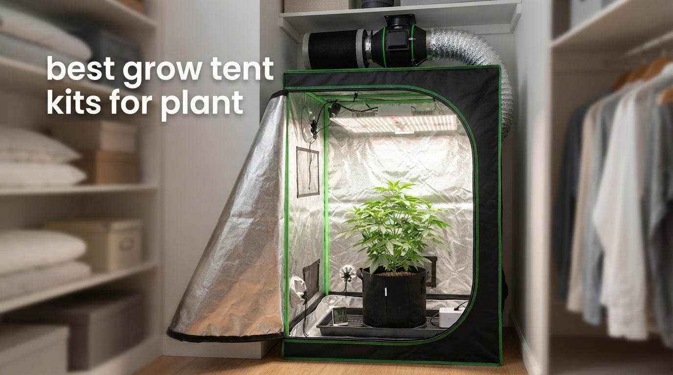 best grow tent kits for one plant